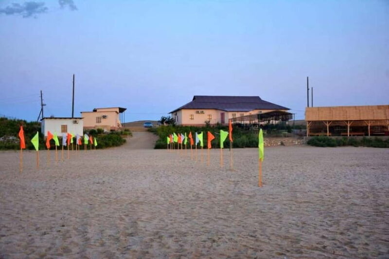 Desert Adventure from Samarkand: Yurt Camp & Aydarkul Escape - FAQs