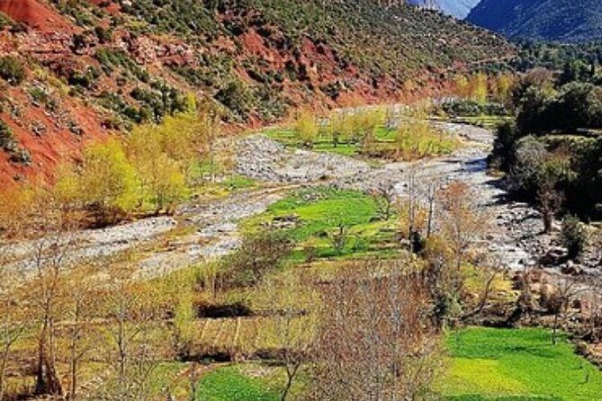 Desert Agafay and Atlas Mountains & Camel ride Day Trip From Marrakech - Frequently Asked Questions