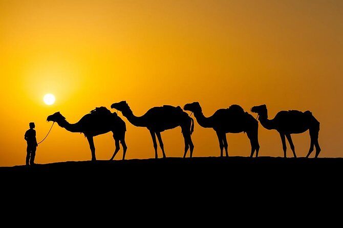 Desert Agafay And Atlas Mountains & Waterfalls Day Trip from Marrakech - Practical Details and What to Expect