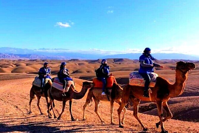 Desert Agafay & Atlas Mountains, Valleys & Waterfalls Tour from Marrakech - Key Points