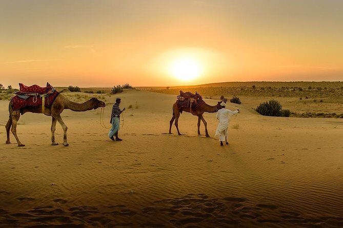 Desert Agafay & Atlas Mountains, Valleys & Waterfalls Tour from Marrakech - FAQs