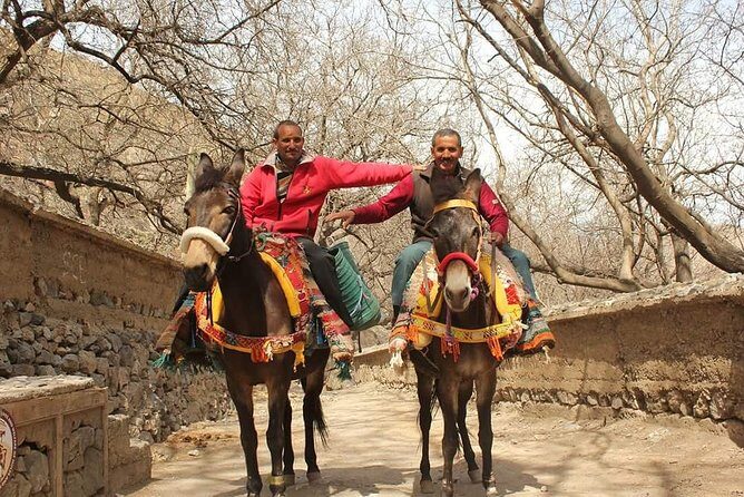 Desert agafay Day trip From Marrakech and Atlas Mountains & Camel Ride - The Camel Ride Experience