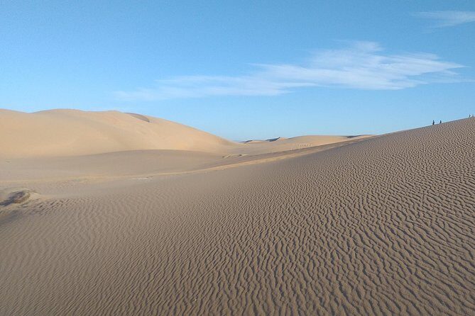 Desert and Wild Beach Day Trip with Meal - Pricing and What You Get