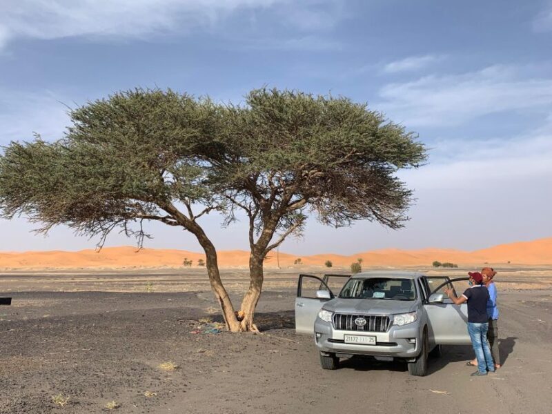 Desert & Atlas: 4-Day Private Moroccan Journey - Practical Details and Considerations