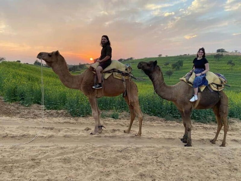 Desert Camel Safari Day Trip From Jodhpur - Key Points