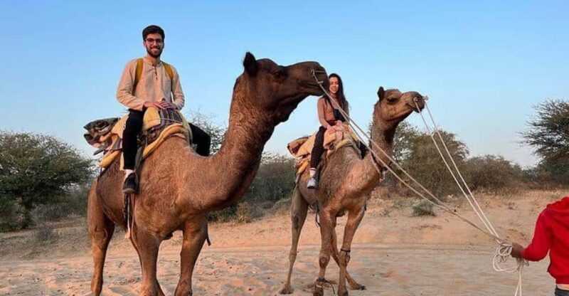Desert Camel Safari Day Trip From Jodhpur - Who Will Love This Tour?