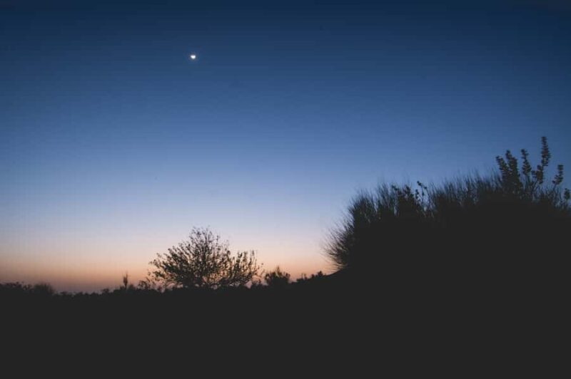 Desert Cultural Evening (No Camel) : Kalbelia & Sufi Fusion - Comfort and Convenience: Why This Tour Works Well