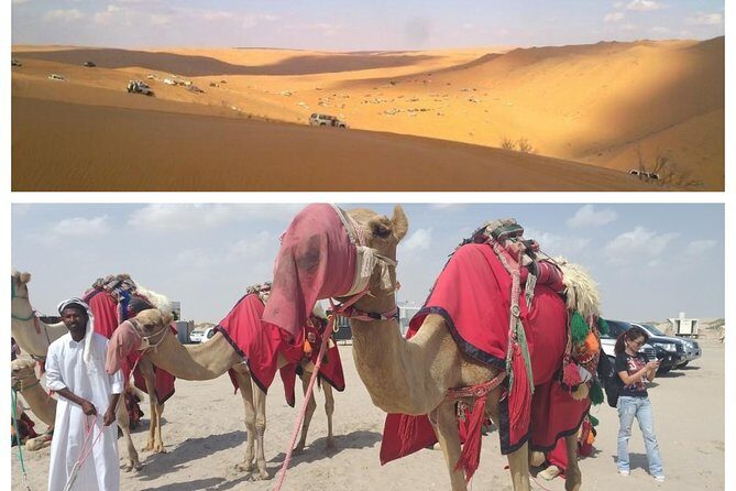Desert Dune Bashing, Camel Ride, Sandboarding & Inland Sea. - Pickup from Doha