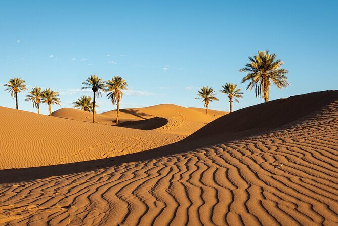 Desert Erg Chigaga Trip from Marrakech: 3 Days - Exploring the 3-Day Desert Erg Chigaga Trip from Marrakech