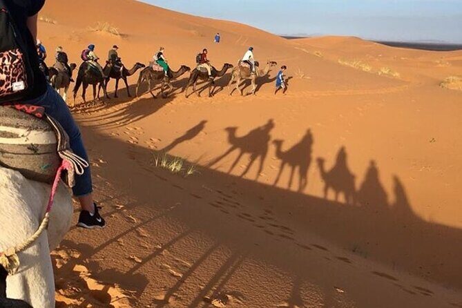 Desert excursion with camel trek into the camp Dinner breakfast - Key Points