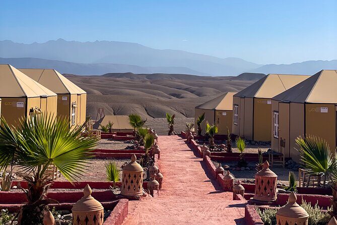 Desert Full Day: Quad, Camel, Dinner & Show or Pool Day and Lunch - Authenticity and Comfort: What Travelers Really Think