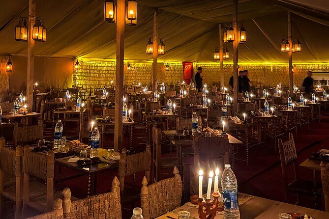 Desert Full Day: Quad, Camel, Dinner & Show or Pool Day and Lunch - Who Is This Tour Best For?