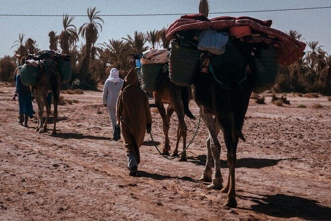Desert Hike for 6 Days and 5 Nights - Practical Considerations