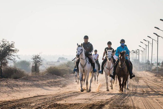 Desert Horse Riding- 1 Hour - Exploring the Experience: What to Expect in Details