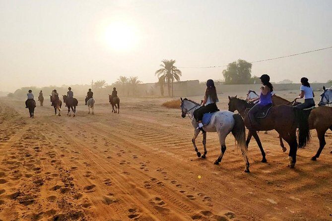 Desert Horse Riding Experience in Dubai - An Honest Breakdown of the Dubai Desert Horse Riding Tour
