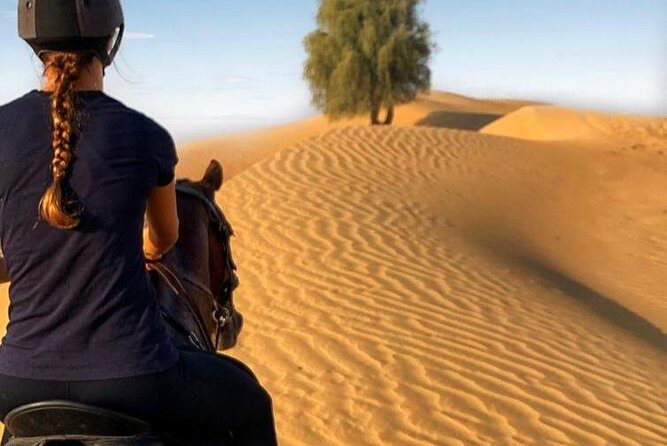 Desert Horse Riding Experience in Dubai - What the Experience Looks Like: The Ride and Its Highlights