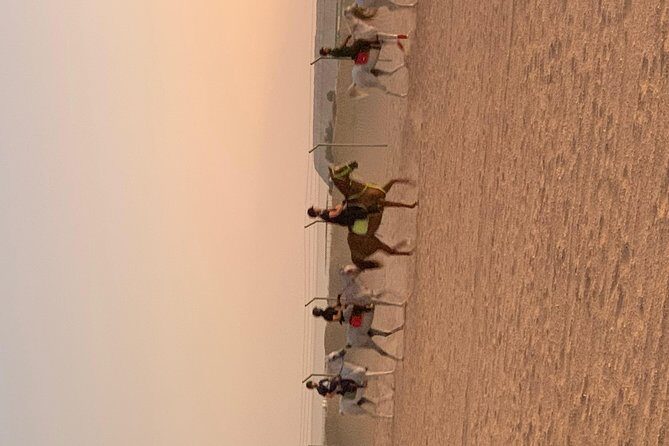 Desert Horse Riding Experience in Dubai - FAQ