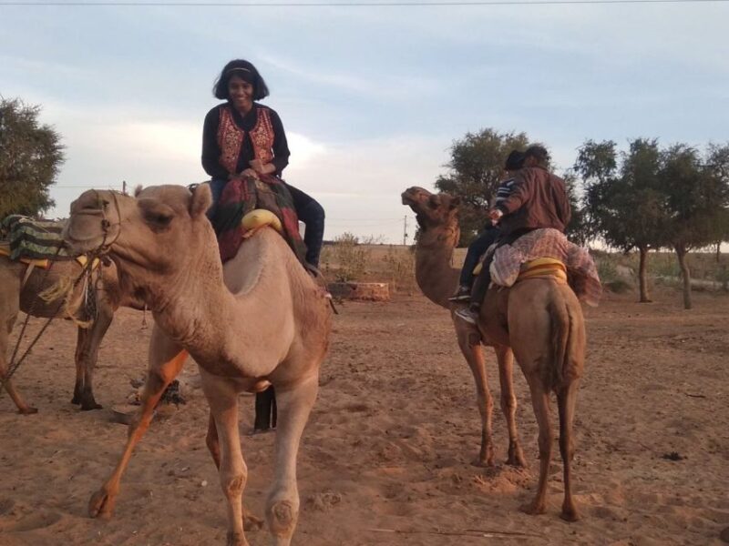 Desert Jeep Safari & Camel Safari Tour From Jodhpur - Key Points