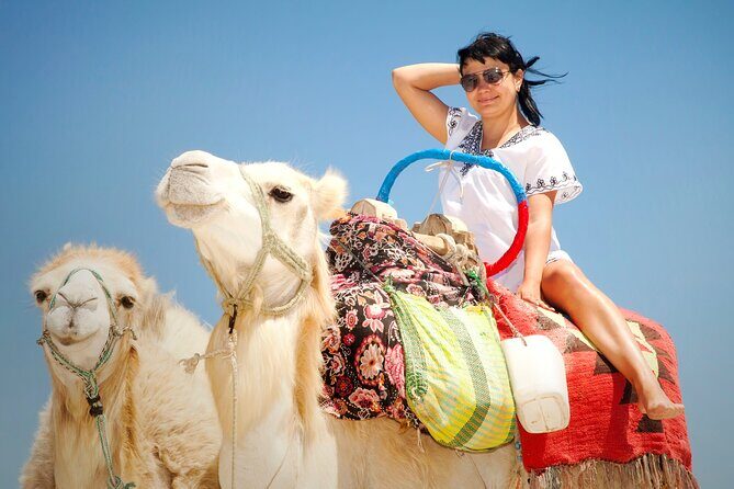 Desert Journey, Experience Camel Ride in desert - Sharm El Sheikh - Who Should Book This Tour?