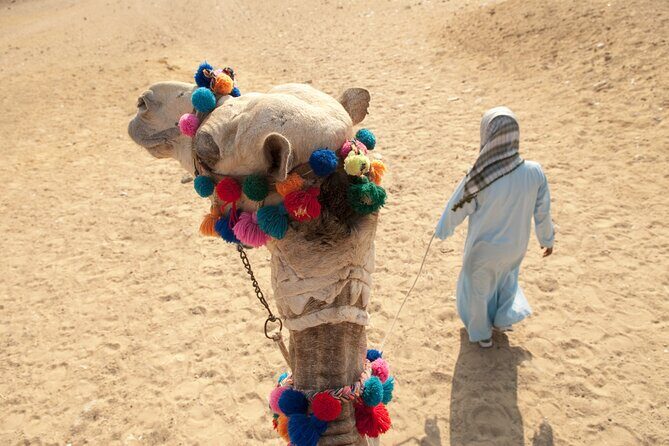 Desert Journey, Experience Camel Ride in desert - Sharm El Sheikh - FAQ