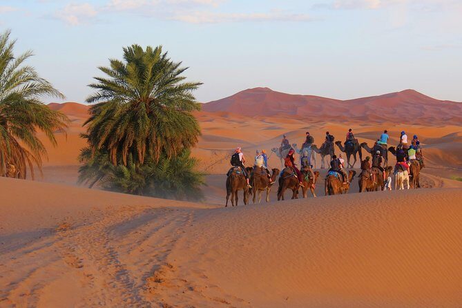 Desert Odyssey: A 2-Day Journey from Marrakech to Zagora - Who Would Enjoy This Tour?