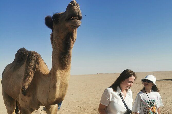 Desert Overnight Tour VisitSalalah - Frequently Asked Questions