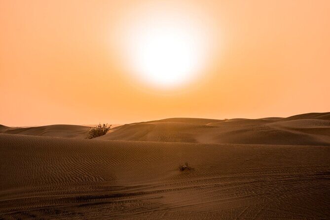 Desert Quad Biking Tour and Sand Boarding with Dinner in Dubai - FAQs
