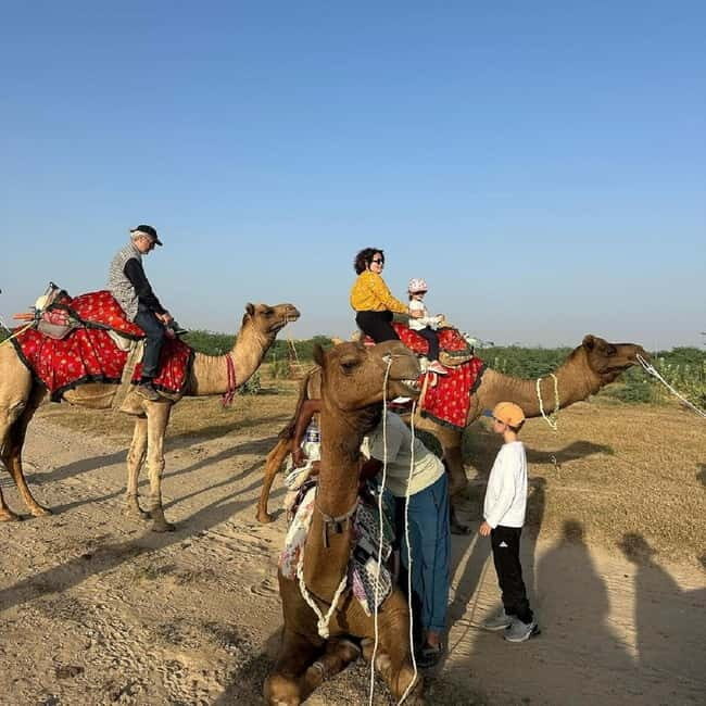 Desert Rose Jaisalmer: Overnight Stay Middle of Thar Desert - FAQ