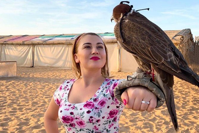 Desert Safari - An In-Depth Look at the Dubai Desert Safari Experience