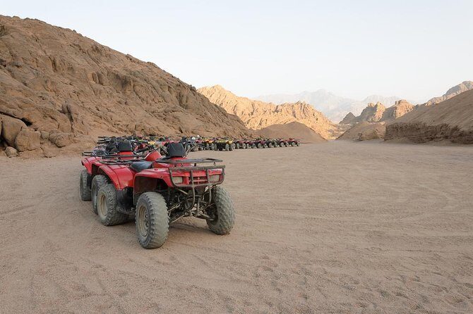 Desert Safari adrenaline tour in Sharm-Elsheikh on Quad ATVs bike - Key Points