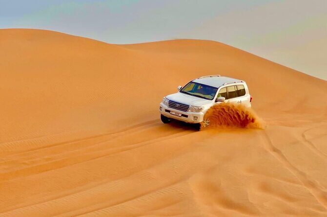 Desert safari adventure with BBQ dinner - Who Will Love This Tour?