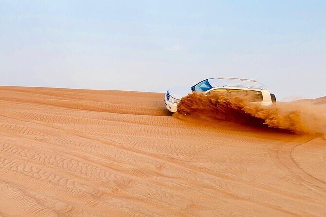 Desert safari adventure with BBQ dinner - The Sum Up