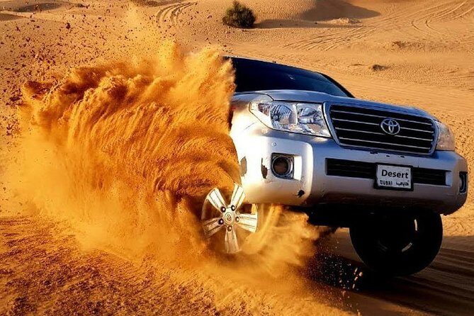 Desert Safari and Dhow Cruise Dinner Marina (Limited Offer) - Who Should Consider This Tour?