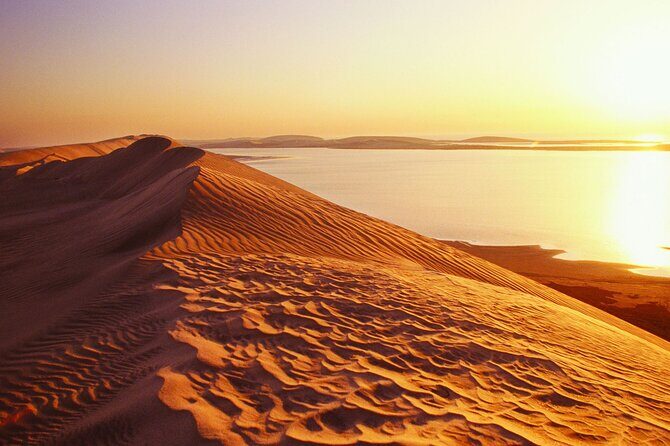 Desert Safari and Inland Sea(Private Tour) - Exploring the Itinerary in Detail