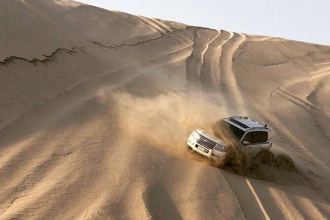 Desert Safari and Inland Sea(Private Tour) - The Sum Up