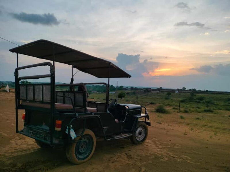 DESERT SAFARI CAMP OSIAN : Jeep & Camel safari - A Deep Dive into the Desert Safari Camp Osian Experience