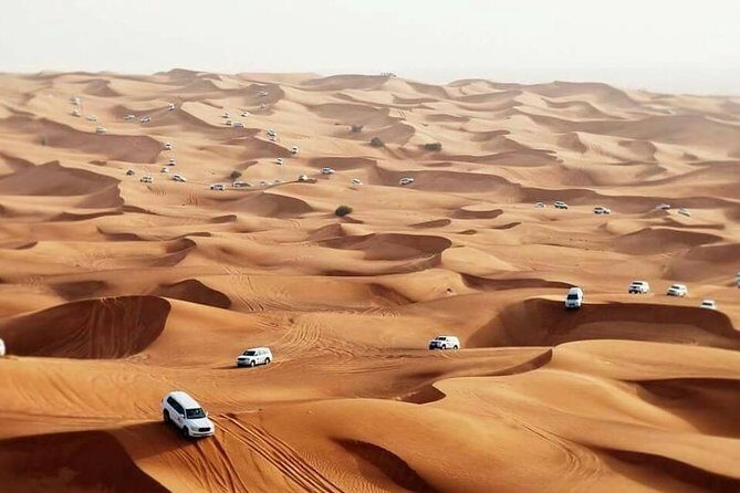Desert Safari Dubai - Who Would Love This Experience?