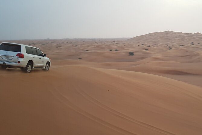 Desert Safari Dubai - Final Thoughts