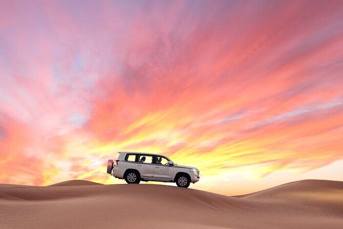 Desert Safari Dubai - Who Should Book This Tour?