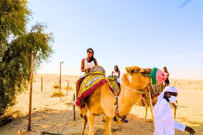 Desert Safari Dubai 30 Mins Quad Bike, Sand Board, Camel Ride BBQ - The BBQ Feast and Nighttime Atmosphere