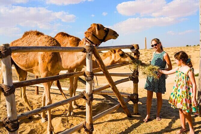 Desert Safari Dubai 30 Mins Quad Bike, Sand Board, Camel Ride BBQ - The Logistics and Practical Tips