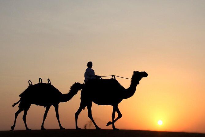Desert Safari Dubai - Authentic Experiences Based on Review Insights