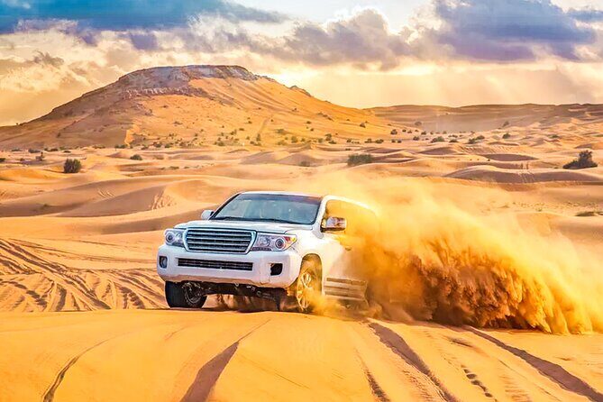 Desert Safari Dubai BBQ Dinner & Live Shows - Who Is This Tour Best For?