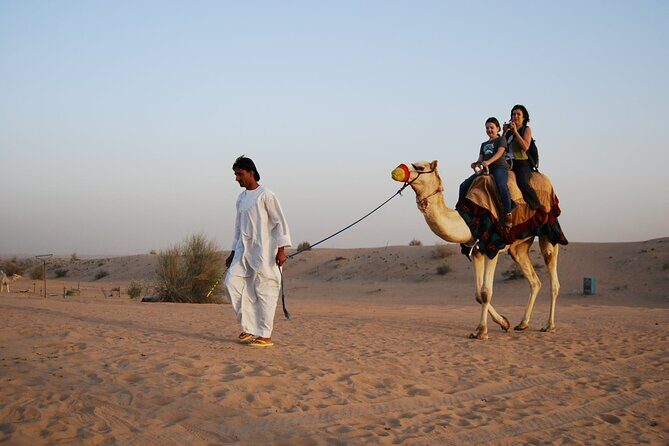 Desert Safari Dubai in 4x4 Vehicle with Dinner - Final Thoughts: Who Will Love This Tour?