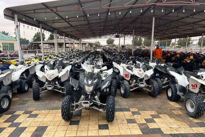 Desert Safari Dubai Live Shows Camel Ride Dinner with Quad Bikes - Who Should Book This Tour?