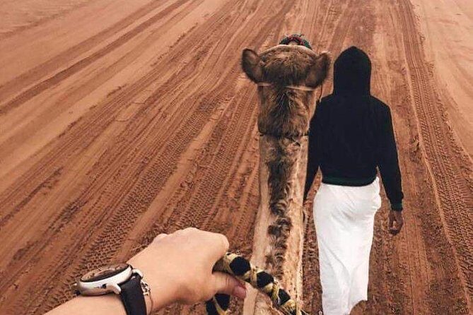 Desert Safari Dubai pickup & Drop off By Land Cruiser - Who Will Love This Tour?