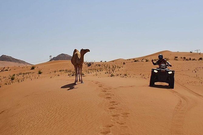 Desert Safari Dubai (PREMIUM VIP) - FAQ