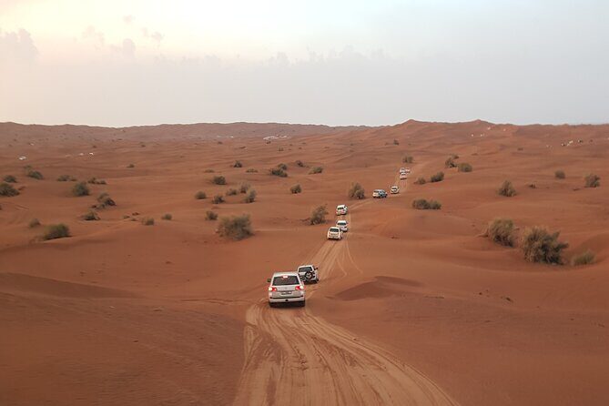 Desert Safari Dubai & Quad Bike with Dinner - What You’ll Love