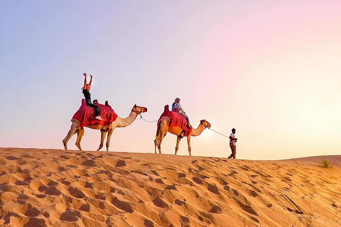Desert Safari Dubai Sand Bashing, Camel Ride, Shows, Live BBQ - The Sum Up