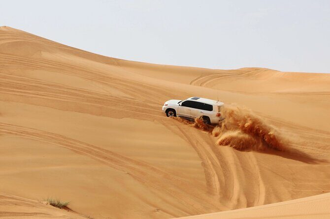 Desert Safari Dubai with Dune Bashing, Activities and Dinner - Who Should Consider This Tour?